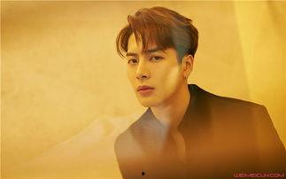 王嘉尔圈外女友爆料视频,揭秘明星背后的情感世界  第1张